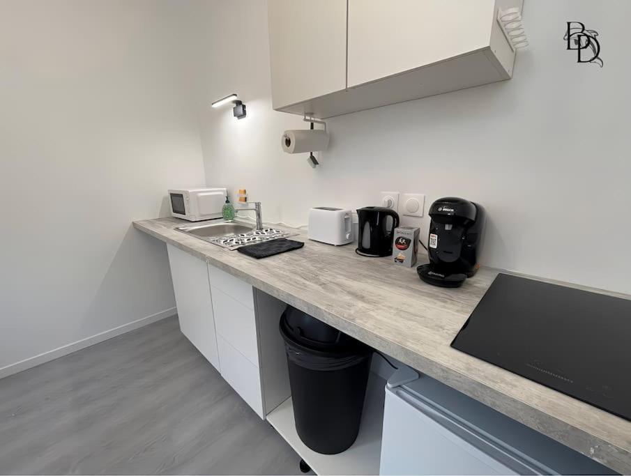 T1 Bis Appartement B3 30M2 Cosy 7Min A Pieds Des Gares Roanne Zewnętrze zdjęcie